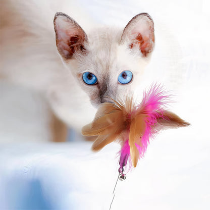 Healing Feather Cat Toy Collar