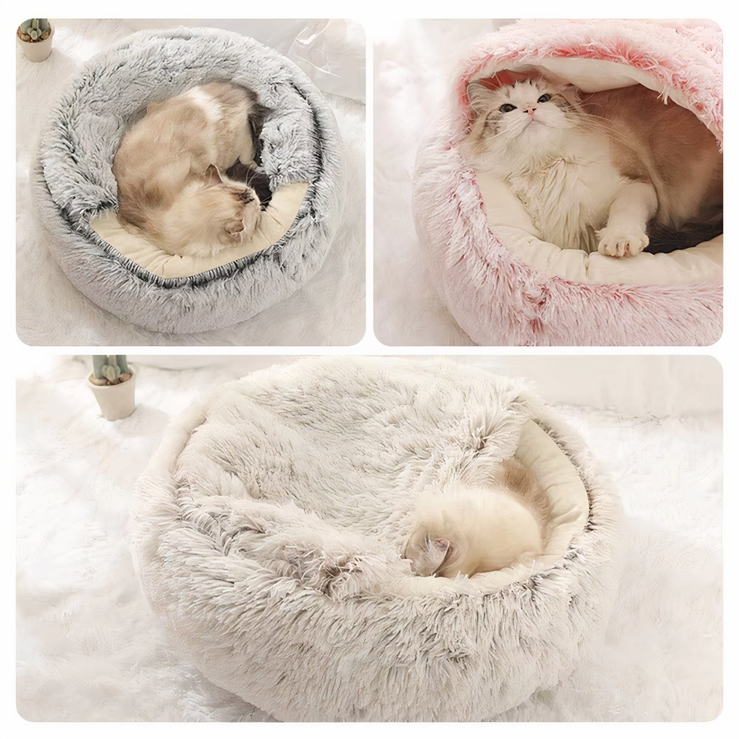 Cuddle Cove Pet Bed