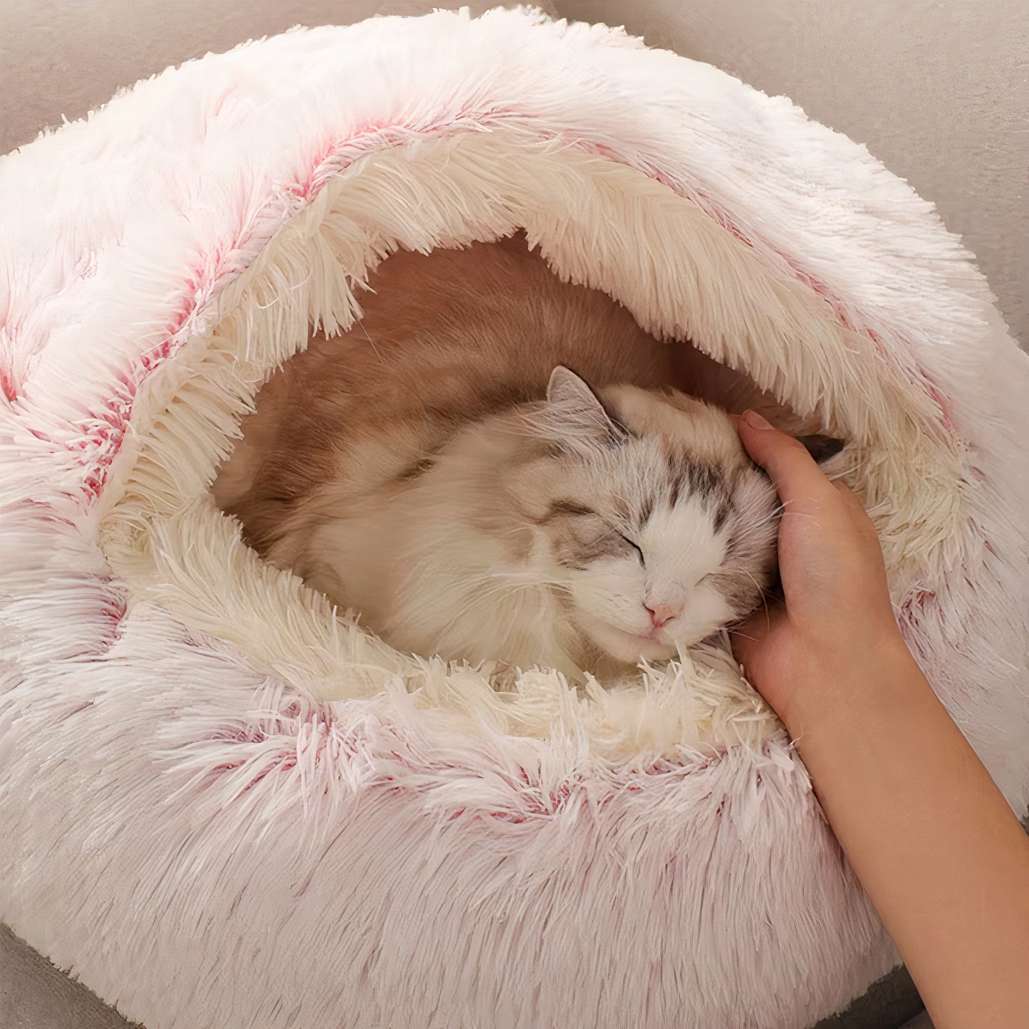 Cuddle Cove Pet Bed