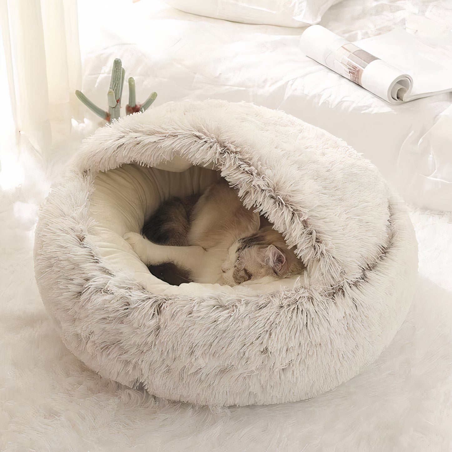 Cuddle Cove Pet Bed