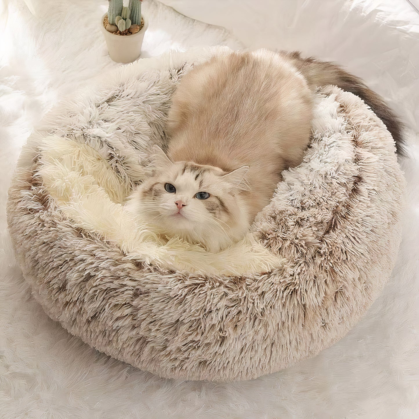 Cuddle Cove Pet Bed