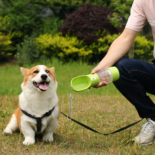 Drink & Dine Water Bottle