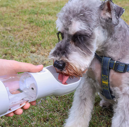 Drink & Dine Water Bottle